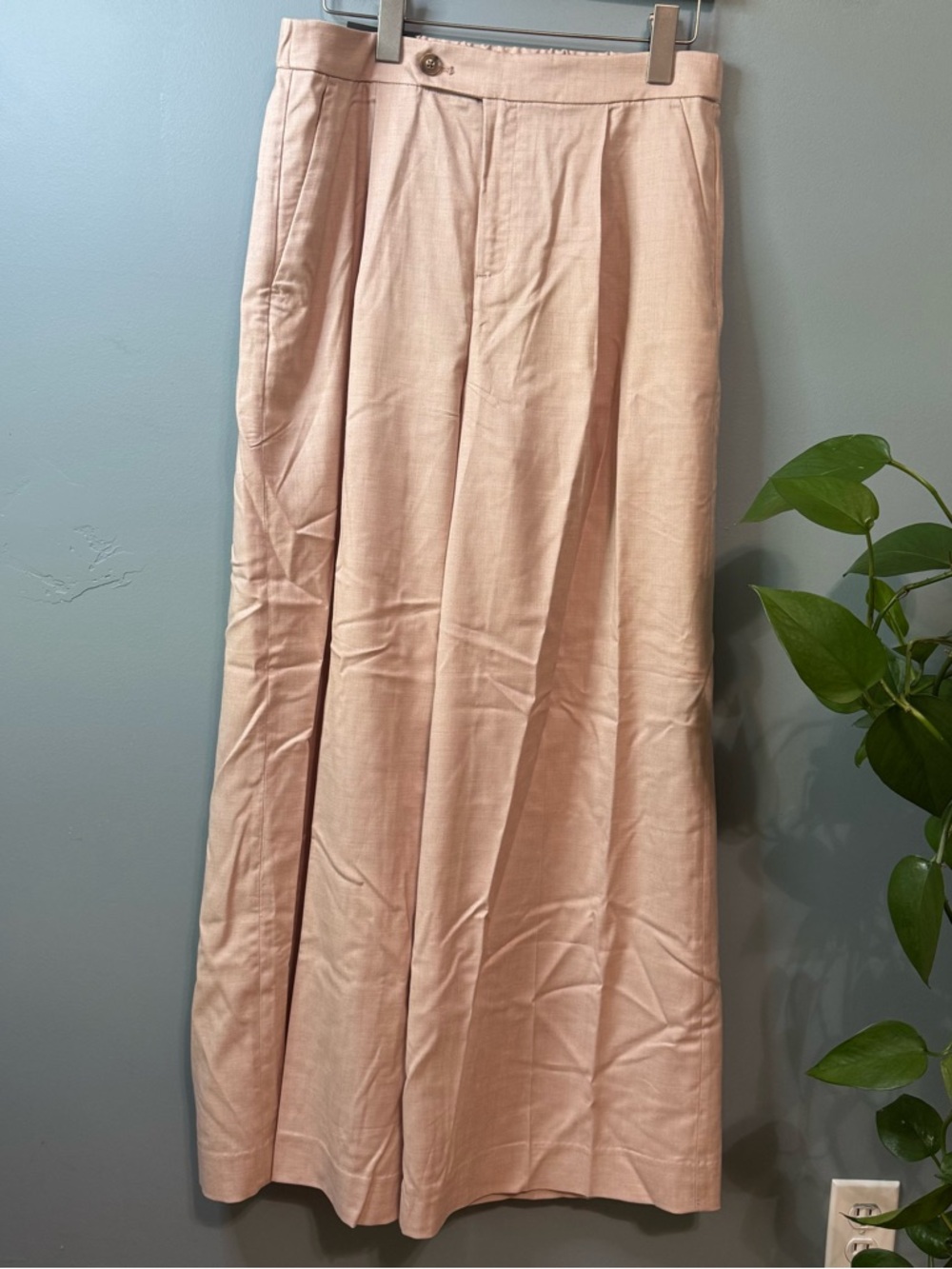 Banana Republic High Rise Pleated Wide Leg Trousers Pink Classpin. NWT 8 (31X31) - Picture 3 of 14